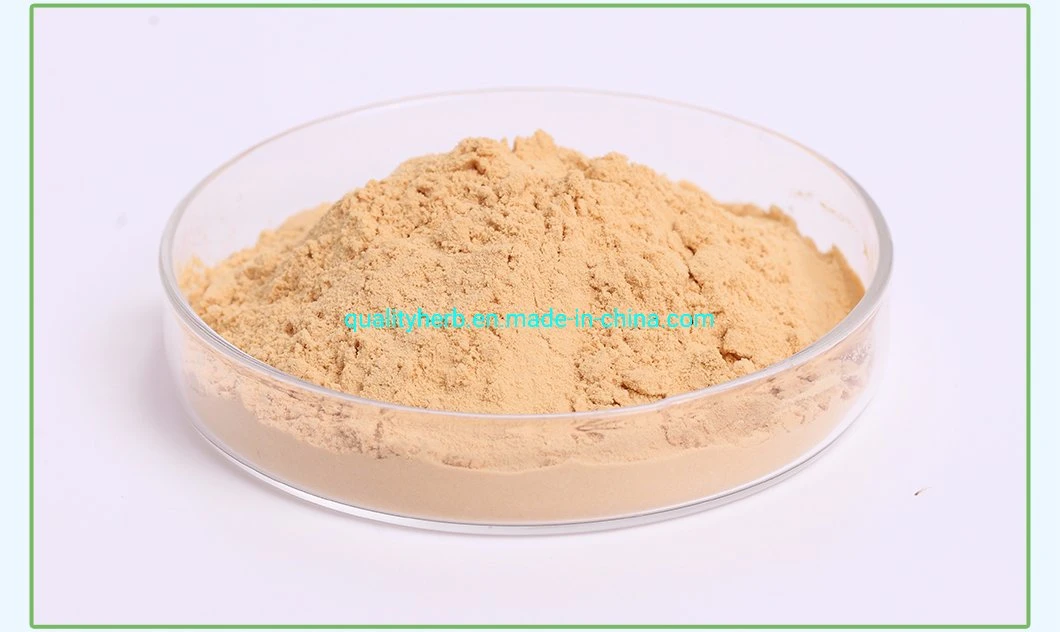 Natural Plant Extract Goji Extract