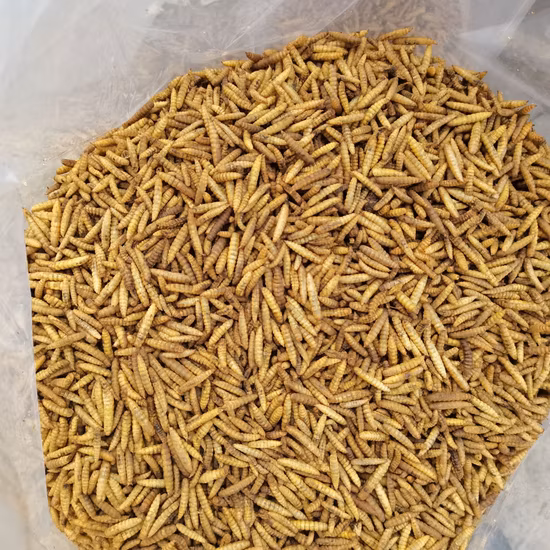 Иммунополисахарид-олигосахарид аквакультуры защищает печень, желчный пузырь, рыбу, креветок, крабов, трепангов, противостоит стрессу, дополняет питание и способствует