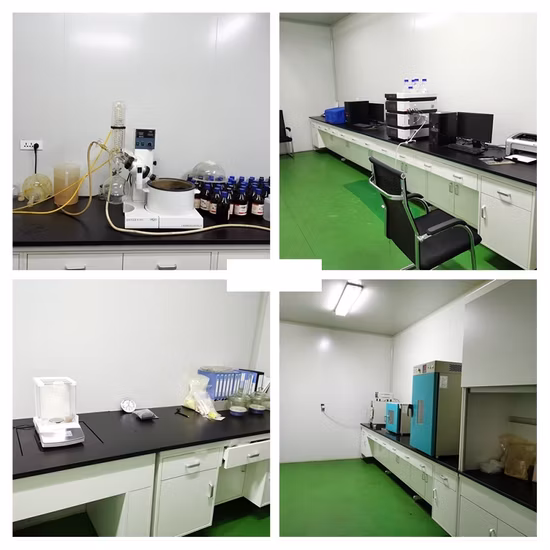 Экстракт зародышей пшеницы увлажняющее косметическое сырье 30% керамид CAS: 100403-19-8